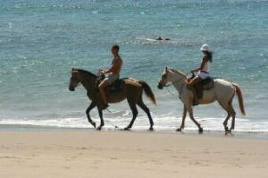 horseback-riding-beach